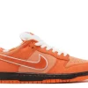 CONCEPTS X SB DUNK LOW 'LOBSTER' first copy