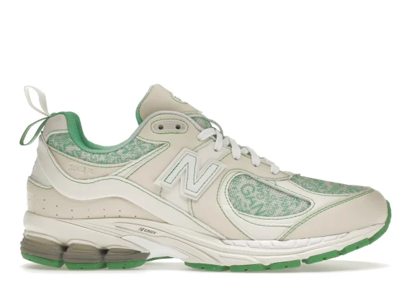 NEW BALANCE 2002R GANNI TURTLEDOVE first copy